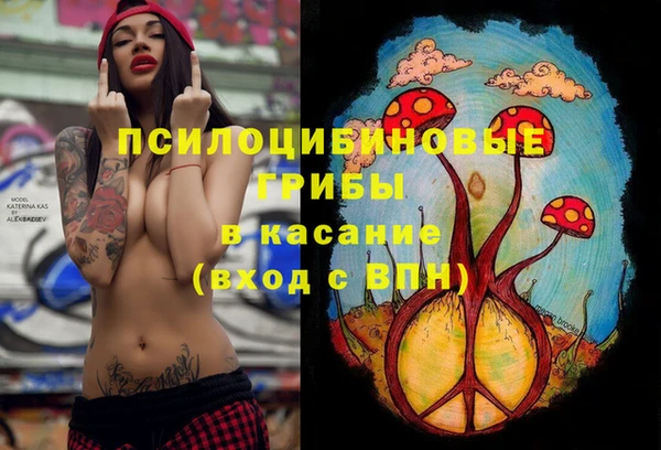 Альфа ПВП Алексин
