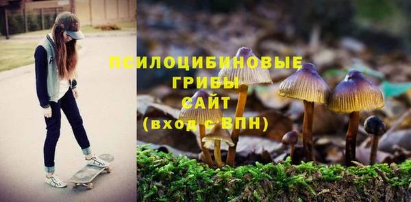 соль ск Алзамай
