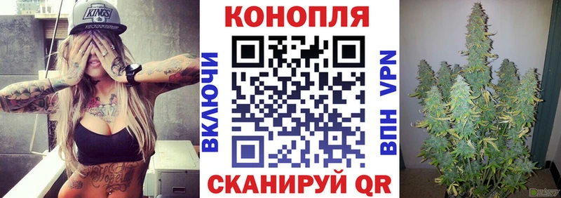 купить  сайты  Динская  мега как войти  Бошки марихуана индика 